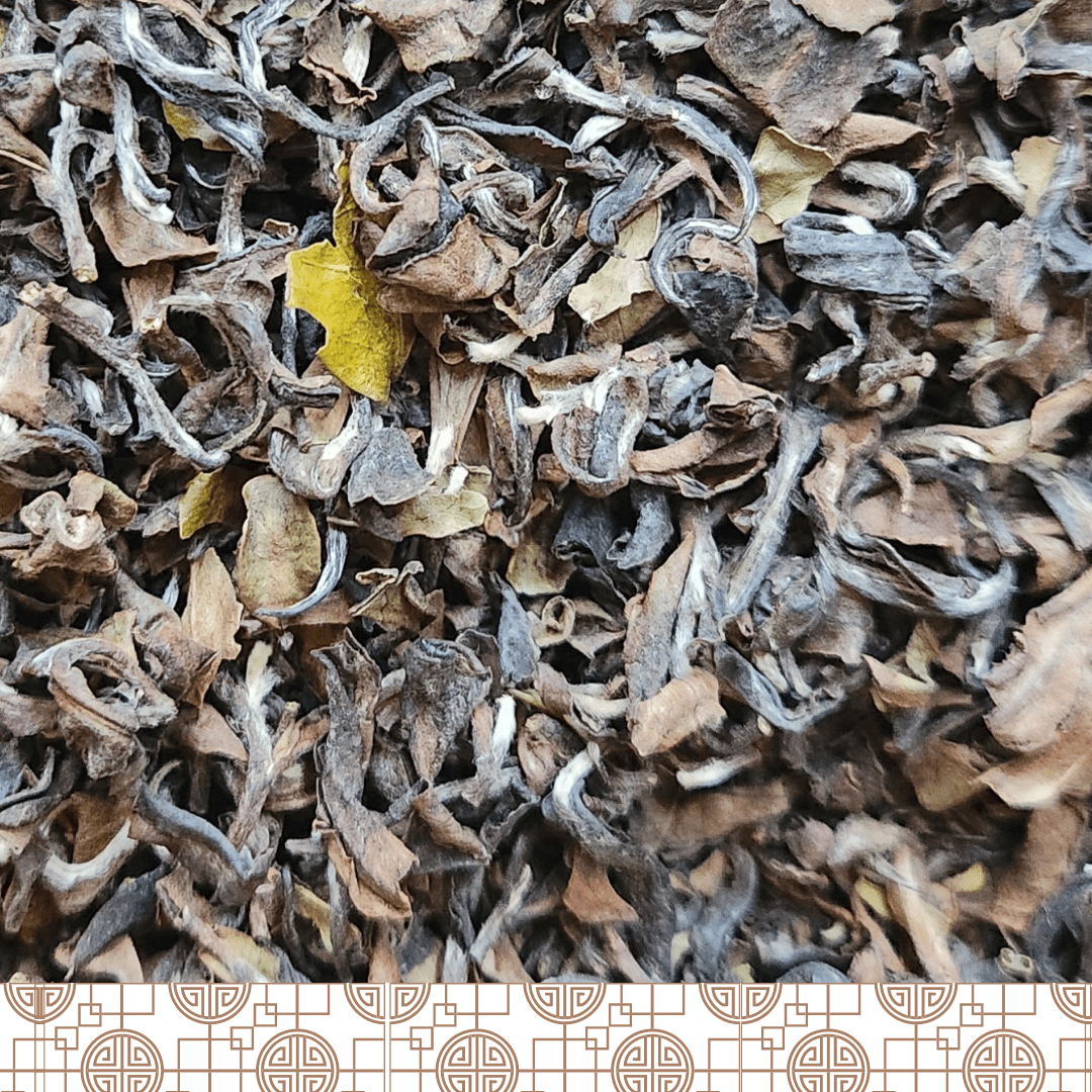 White Tip Oolong, 36g (Loose Leaf) - Viet Espresso & Tea